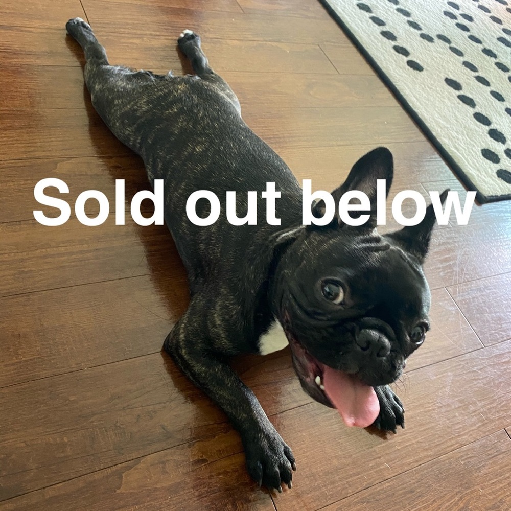 Everything Below are SOLD OUT ✔️✔️